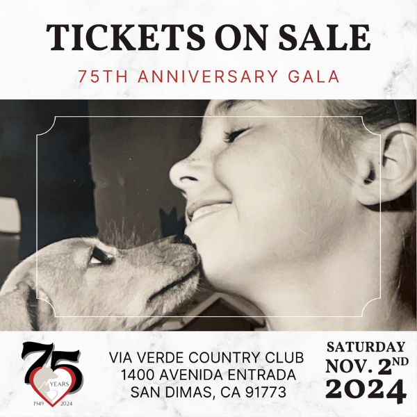 75th Anniversary Gala