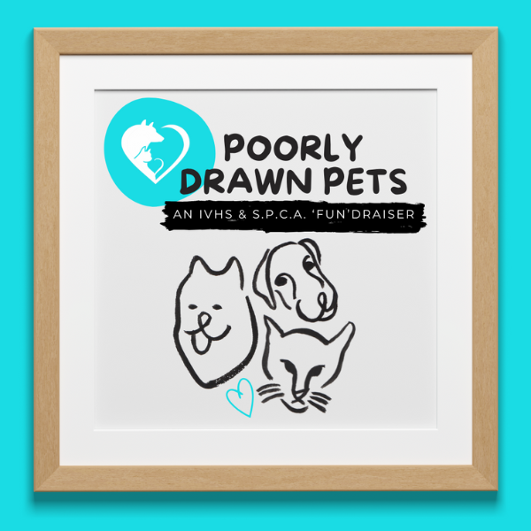 Poorly Drawn Pets