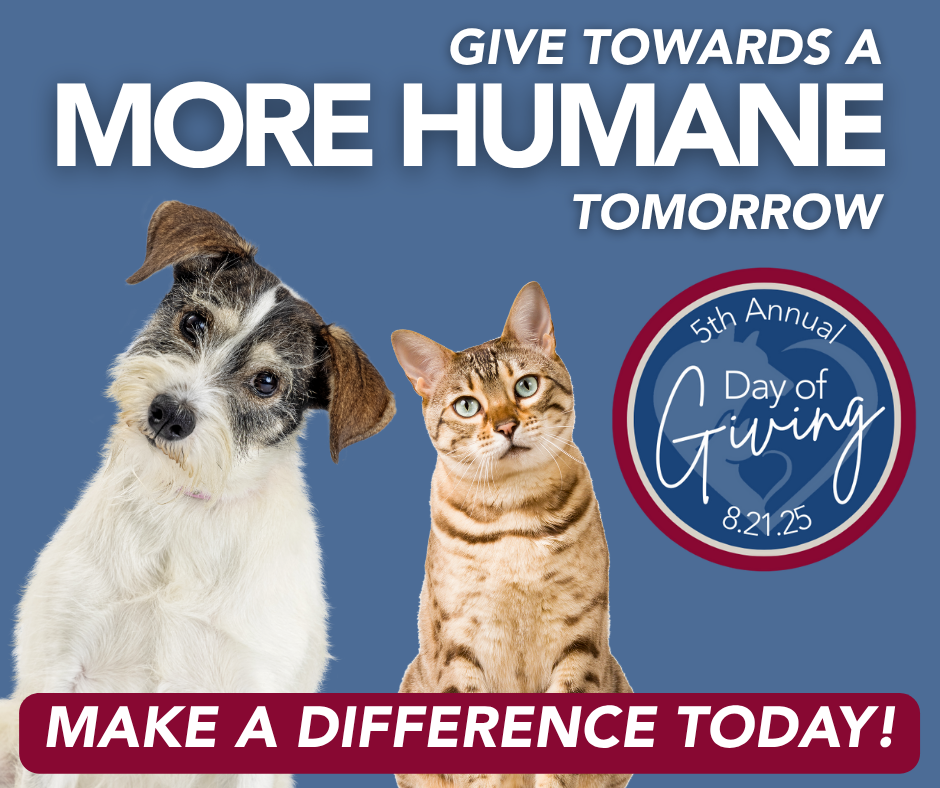 Day of Giving