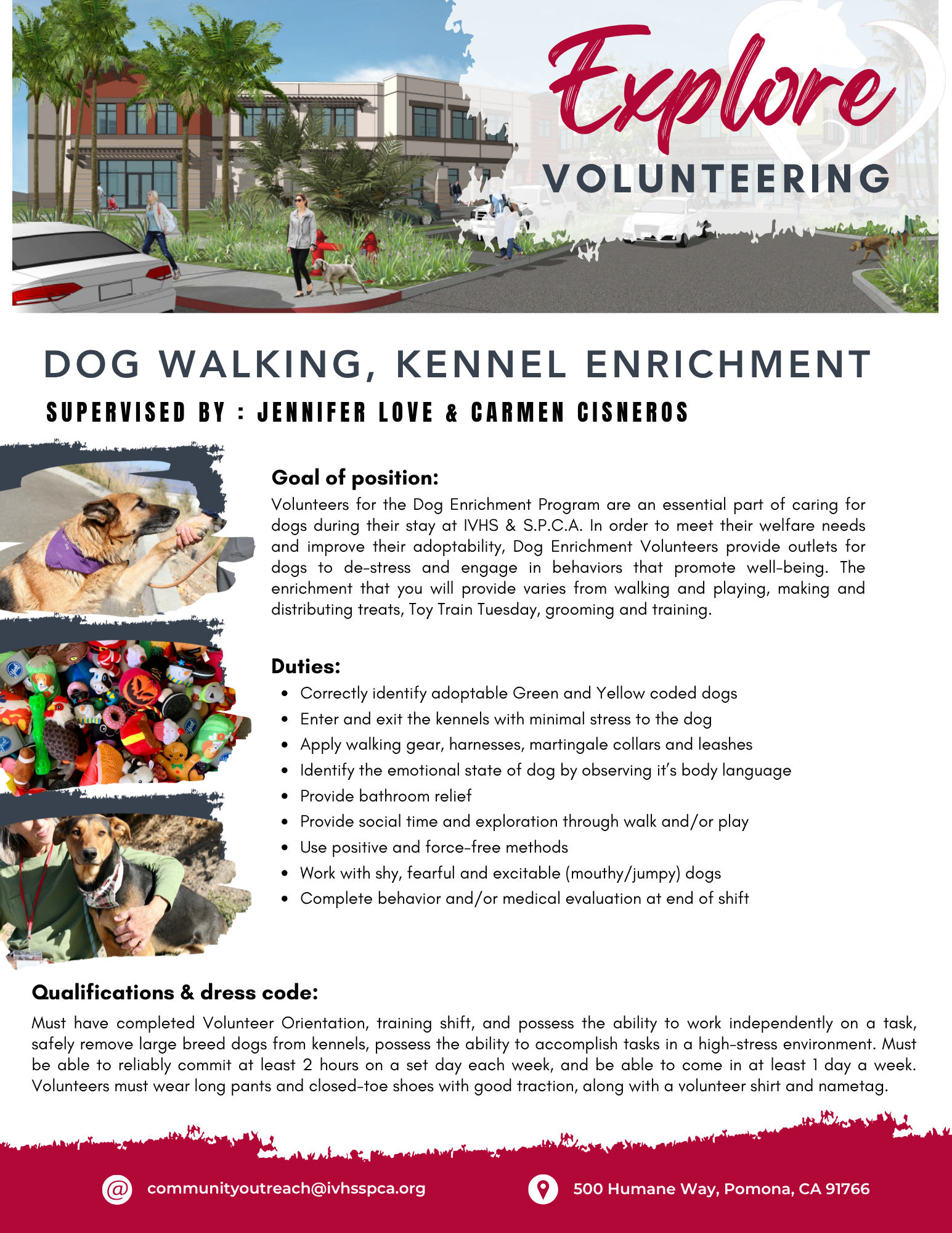 Dog Walking and kennel Enrichment