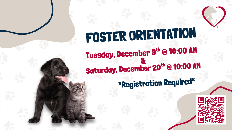Dec Foster Orientation