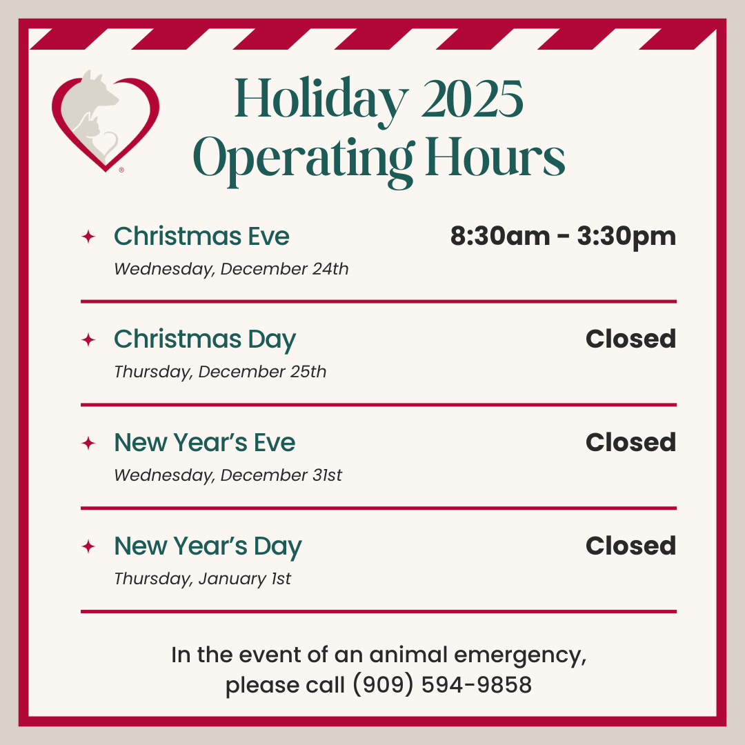 Holiday Hours