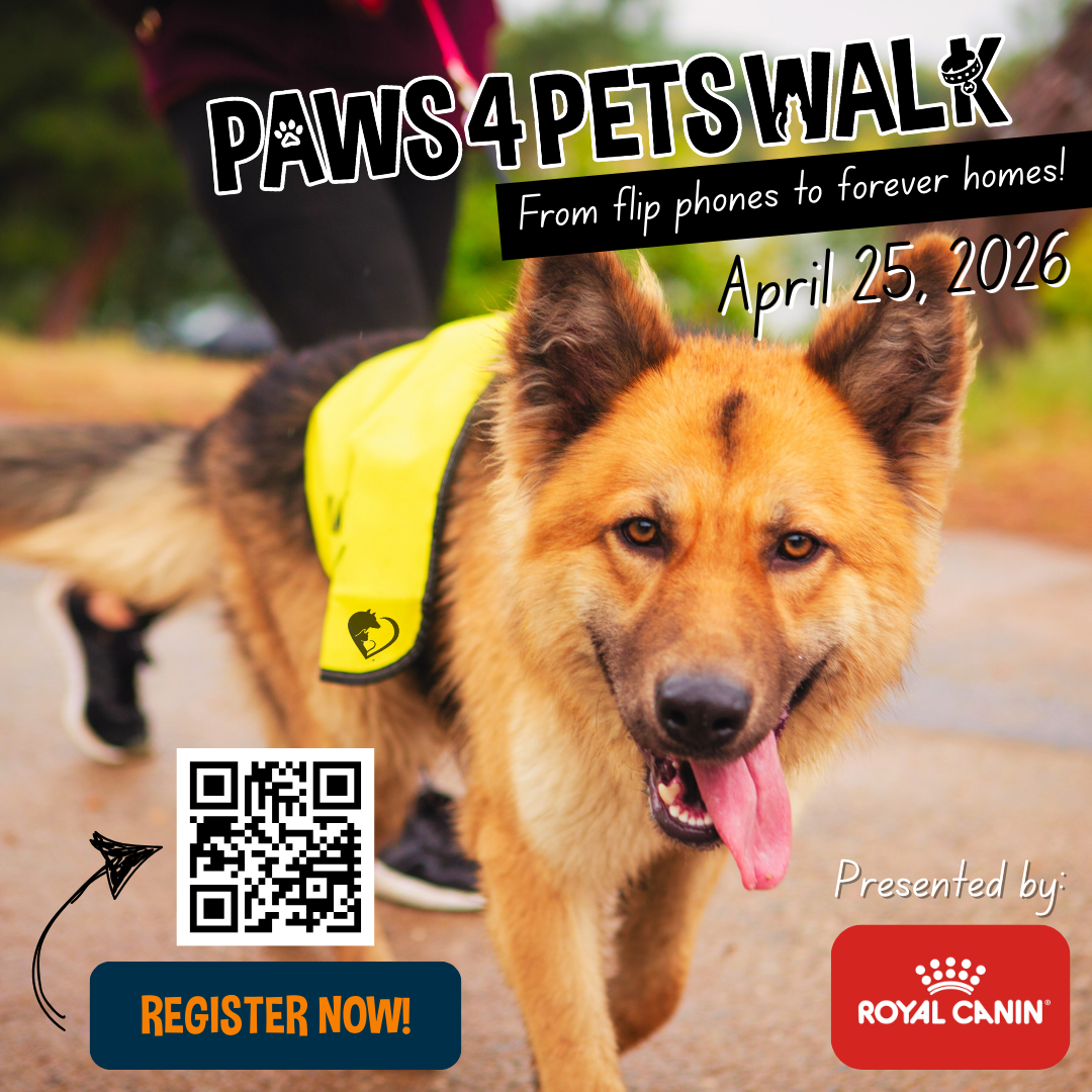 Paws 4 Pets Walk