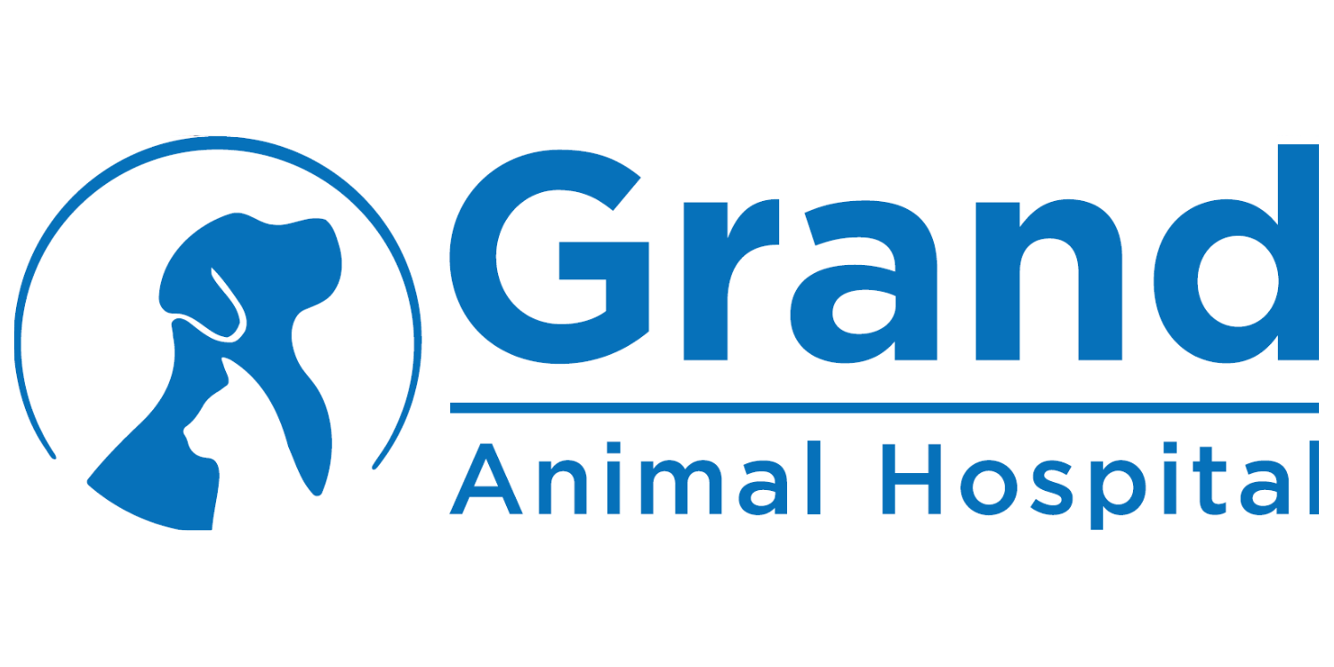 Grand Animal Hospital