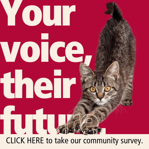 Your Voice Matters
