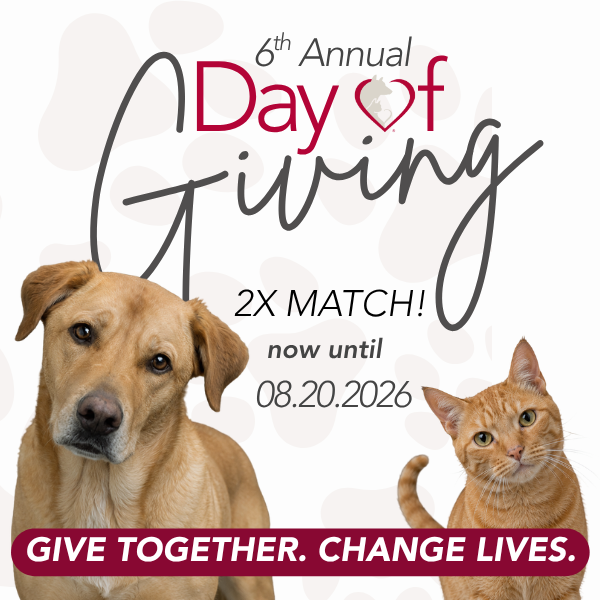 Day of Giving