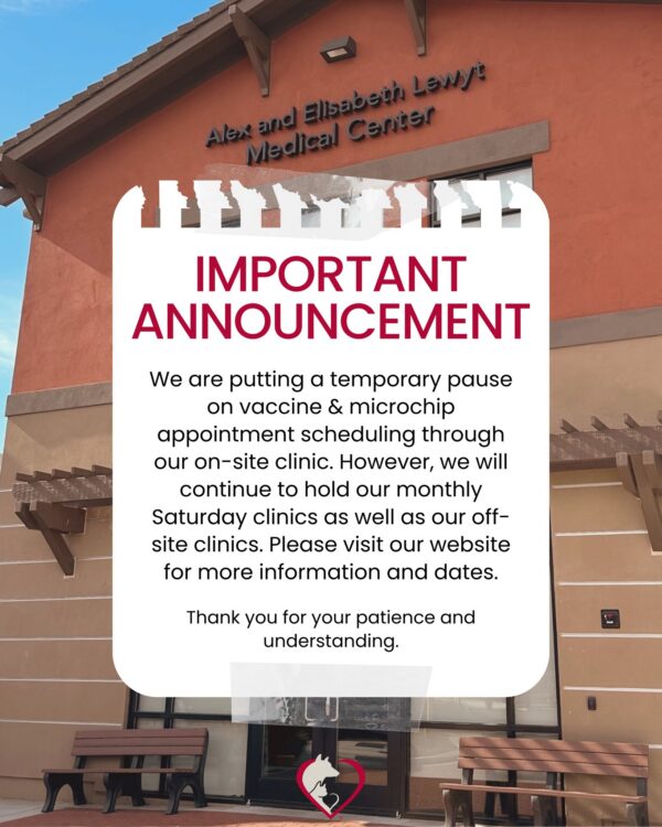 🚨 Important update: We are temporarily pausing vaccine and microchip appointment scheduling through our on-site…