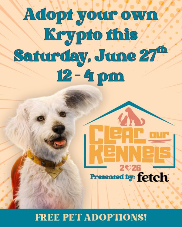 🦸 Find a pet who will save your day! Find your own Krypto at Clear…