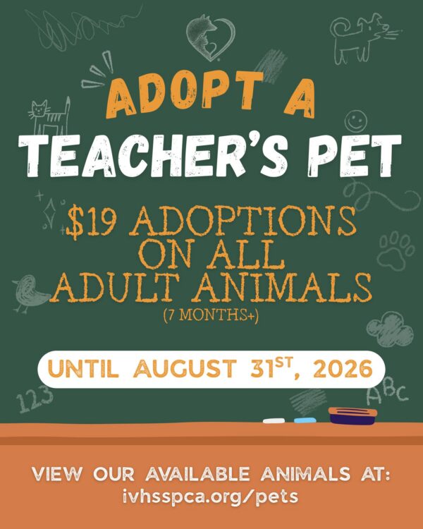 📚🐾 School is back in session... and your new best friend is ready to earn…