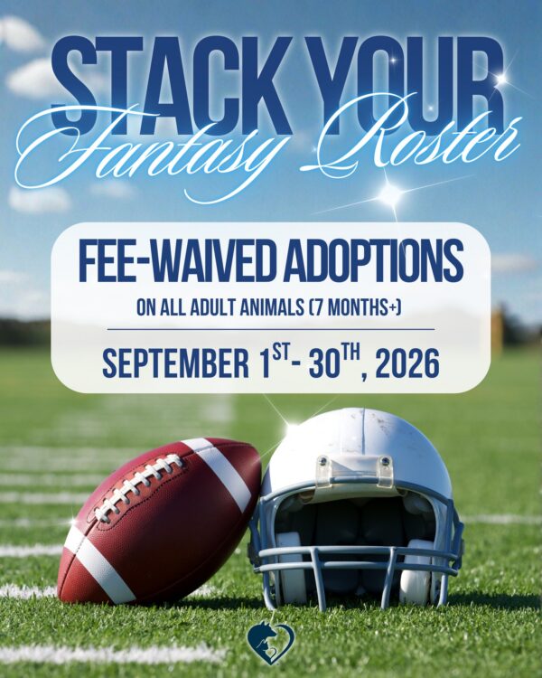 Football season is here, and we’re ready to help you draft your #1 pick! 🏈🐾…