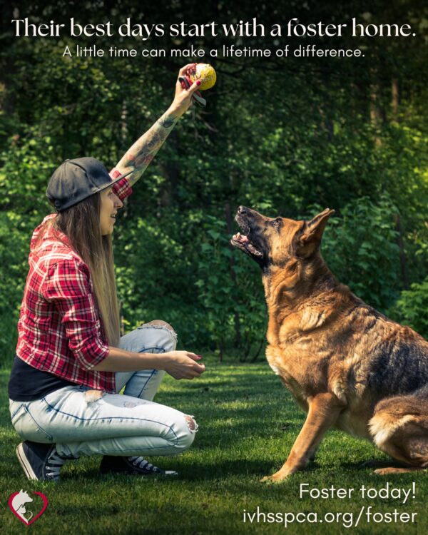 Every foster home gives a pet the chance to decompress, build confidence, and show the…