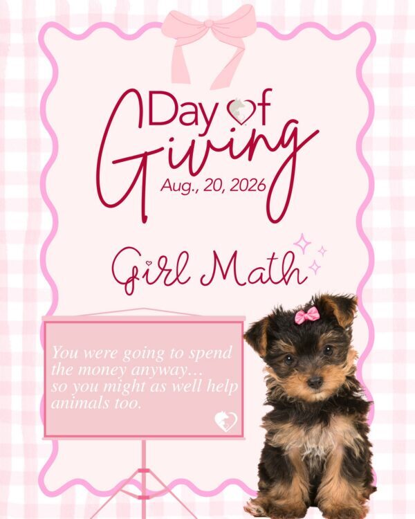 Girl math, but make it Day of Giving. 🎀🐾 You were already going to shop,…