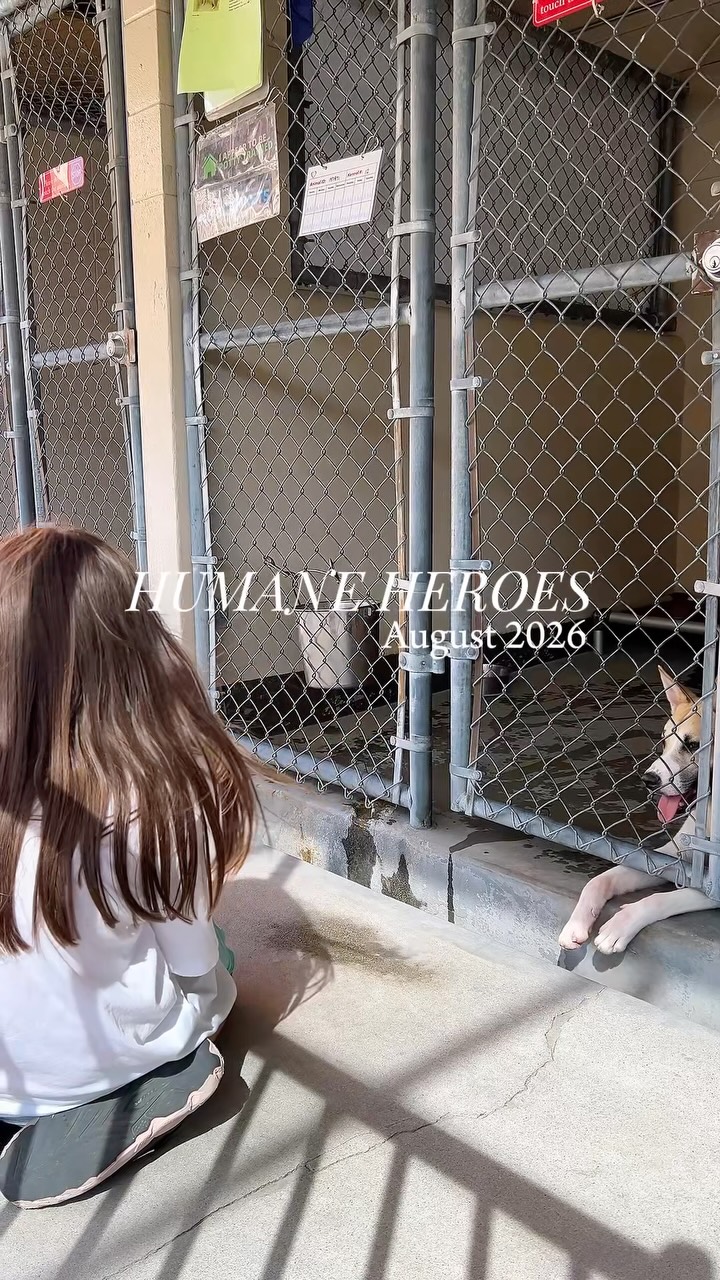 Making Dolly proud, one page at a time. 📚🐾💗 Our Humane Heroes spent the day…