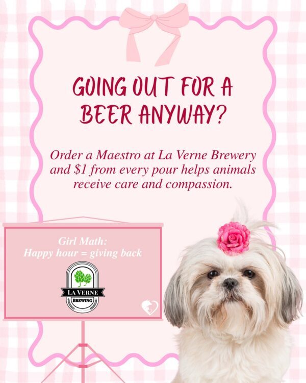 Girl math, but make it Day of Giving. 🎀🐾 You were already going to shop,…