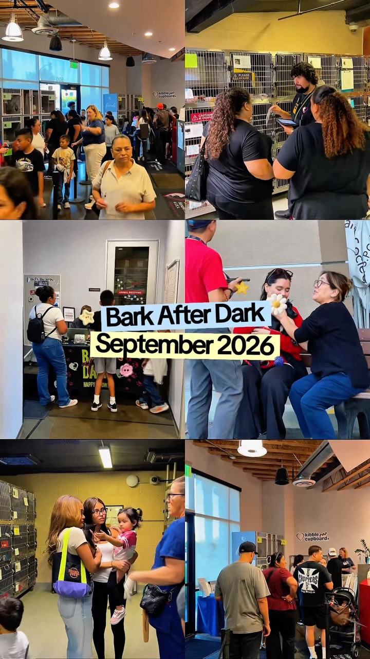 Bark After Dark was a success!🌙✨ Thank you @giftableworld for sending home these pets with…