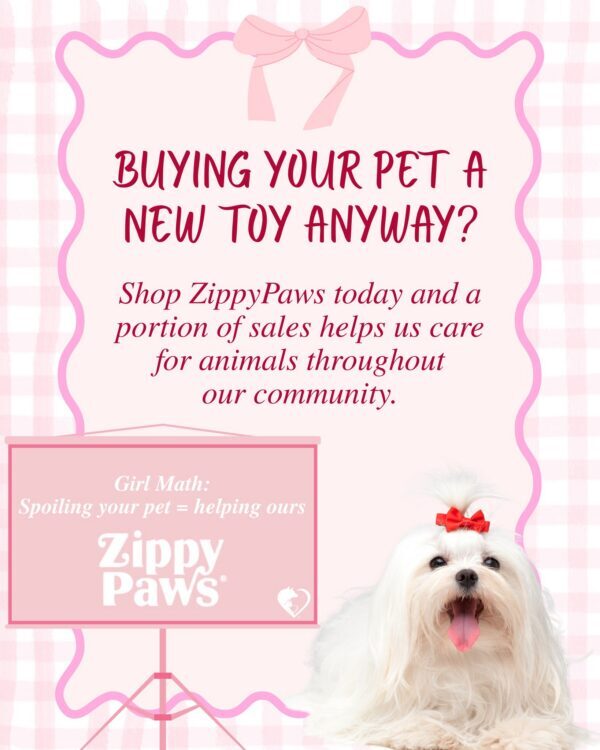 Girl math, but make it Day of Giving. 🎀🐾 You were already going to shop,…