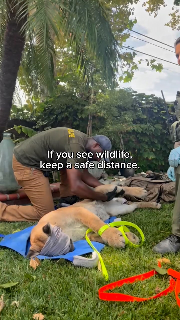 A reminder that we share our roads and communities with wildlife. 🐾 Please stay alert…