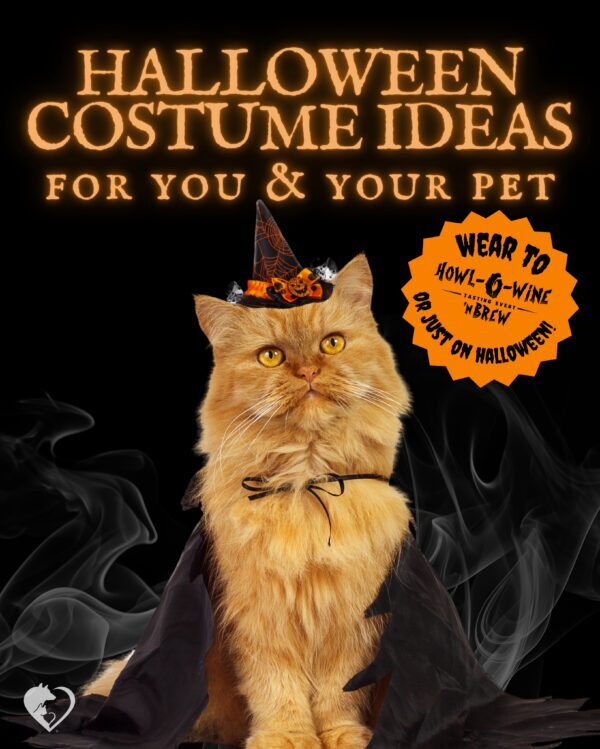 Looking for the perfect owner + pet costume idea? 🎃🐾 Whether you’re dressing up for…