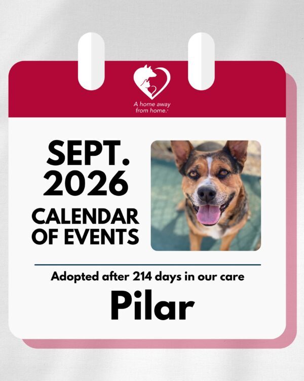 🍂🐾 September is here with plenty of ways to get involved, learn something new, and…