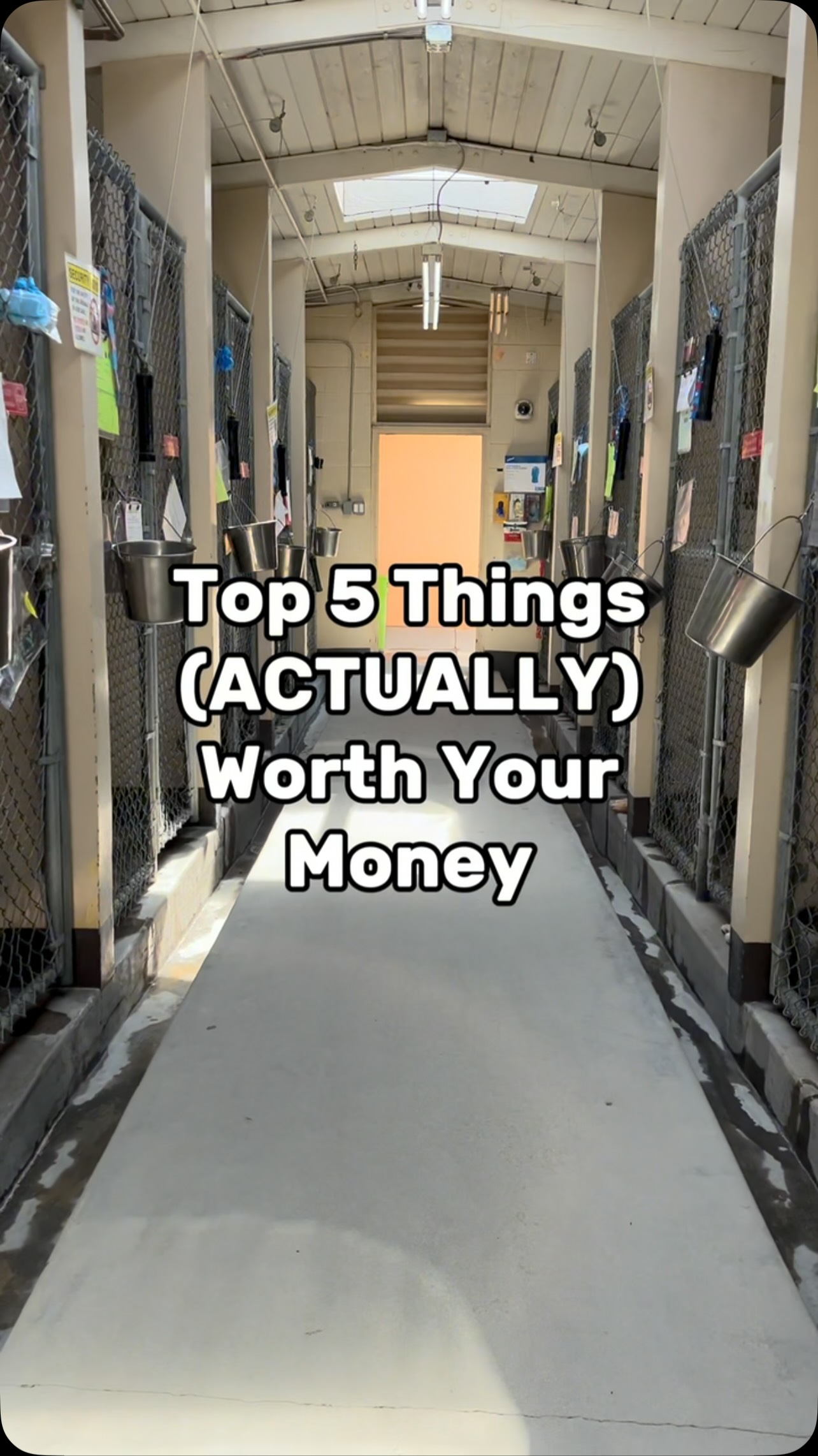 Some things are just worth the money… and a new best friend is definitely one…