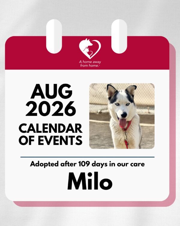 ☀️🐾 August is here, and it’s filled with ways to support animals in our community!…